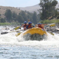 rafting Yellowstone