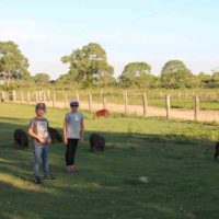 Gallery-Stephanie-Pantanal-Brazil-Family-trip-with-kids