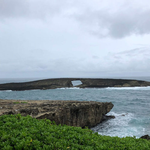 Kahuku