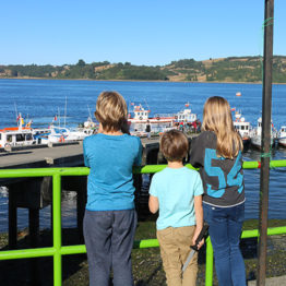 STop-3-Chiloe-Patagonia-Chile-Trip-for-families-Inspiration