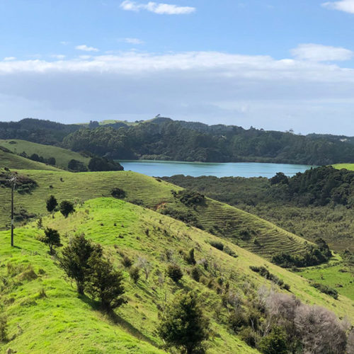 Hokianga