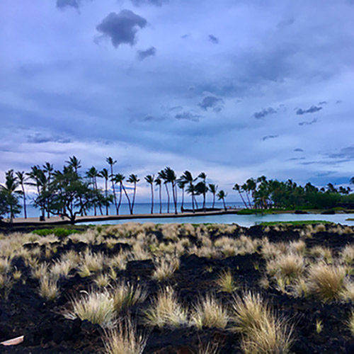 Waikoloa beach