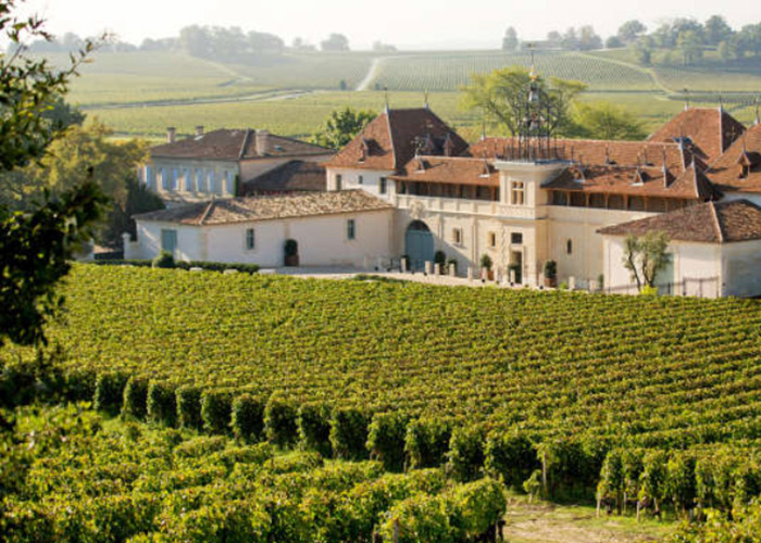 Road-trip-South-of-France-st-emilion-gallery-4